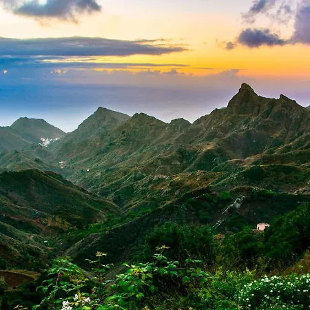 Alquilaencanarias Cruz Centro *